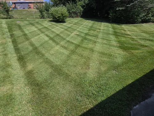 Backyard lawn cut in a sweeping fan stripe pattern