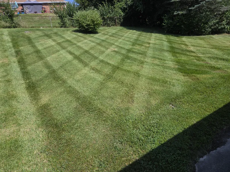 Backyard lawn cut in a sweeping fan stripe pattern