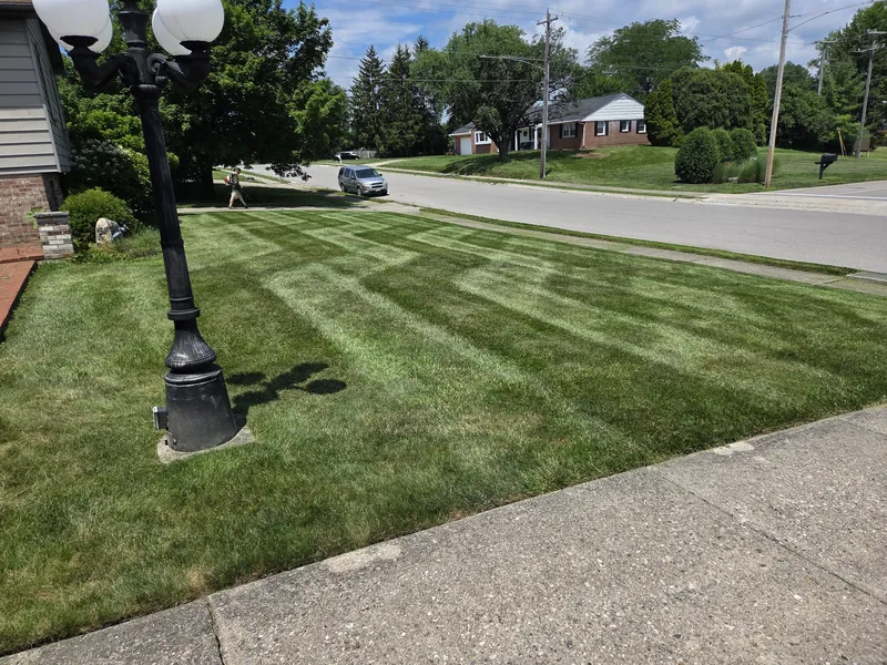 Freshly mown front lawn with mower stripes on a residential street