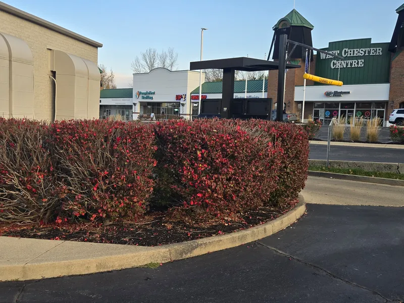 Red leaf shrubs trimmed square along a parking lot island at a West Chester retail centre