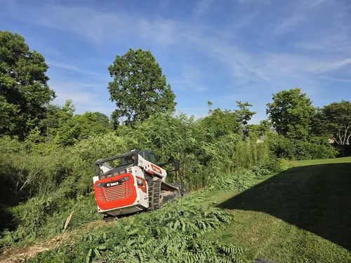 Compact track loader with a forestry mulcher head clearing overgrown brush on a slope